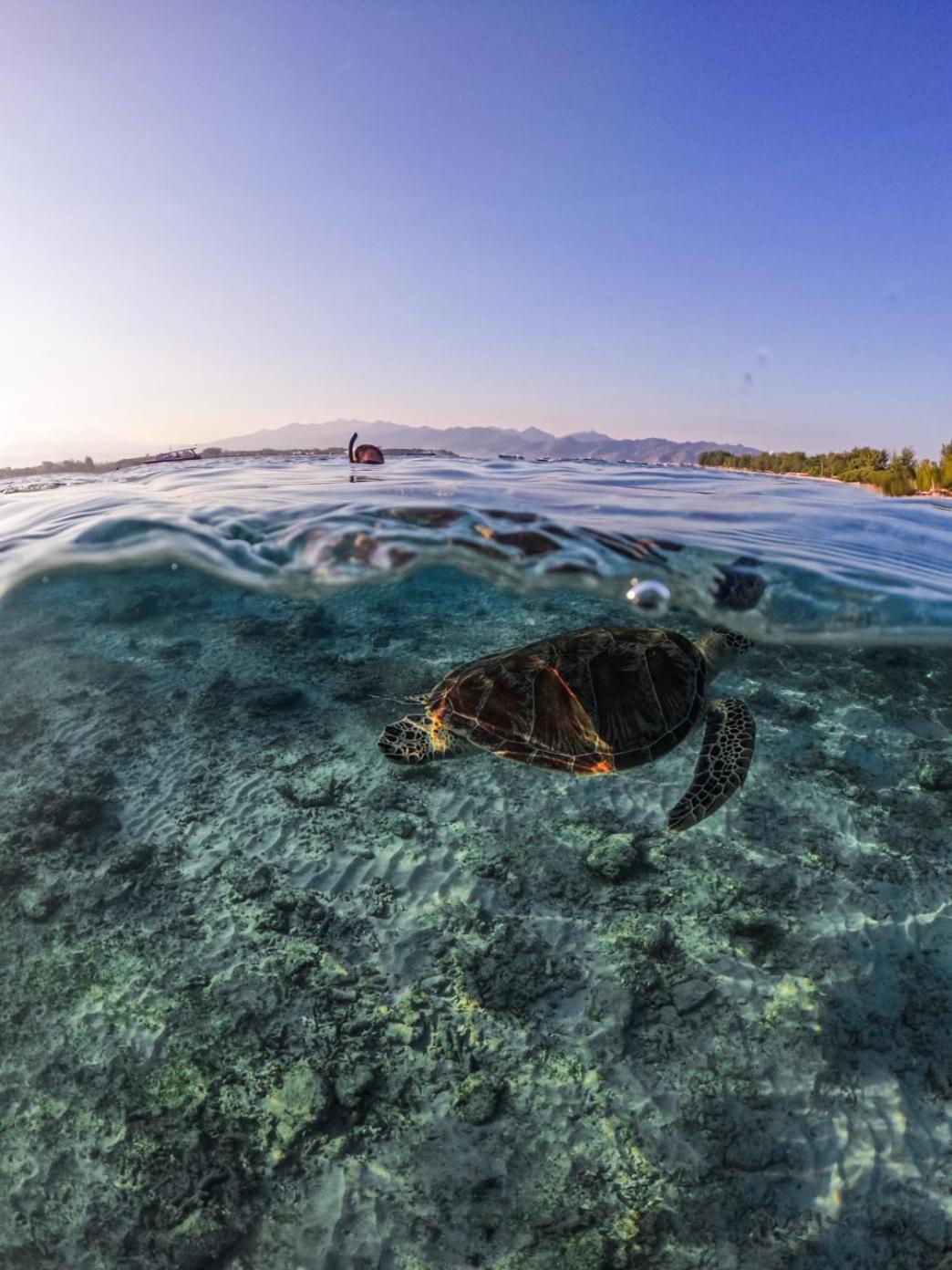 Mandala Beach Healing Rooms Gili Air Ngoại thất bức ảnh
